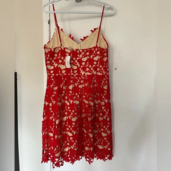 NWT Birdseye Red Lace Overlay Dress - Picture 3 of 6